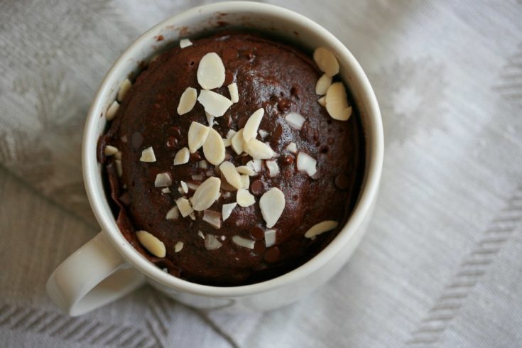 keto mug cake no egg