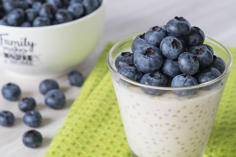 low carb sugar free tapioca pudding