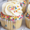 Funfetti Protein Cupcakes