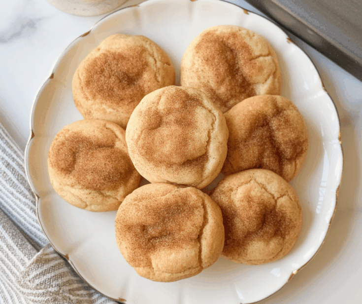 easy Snickerdoodle Cookies